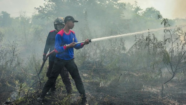 Petugas Pemadam Kebakaran, 10 Hektar Lahan di Jambi Terbakar